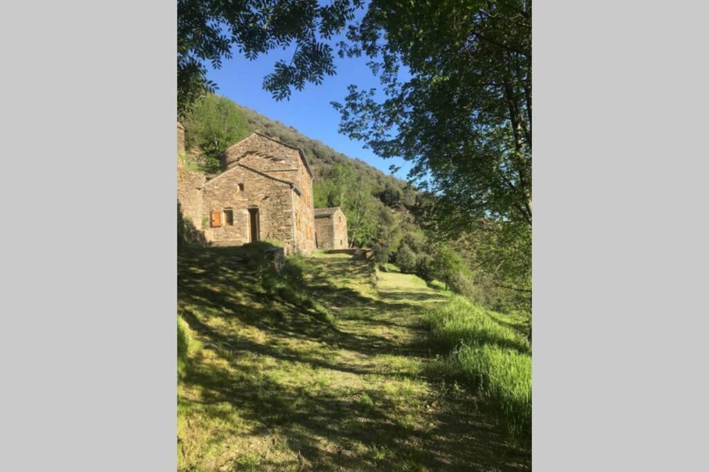 La Pellegrine, Parc National Des Cevennes Villa Le Salson Kültér fotó